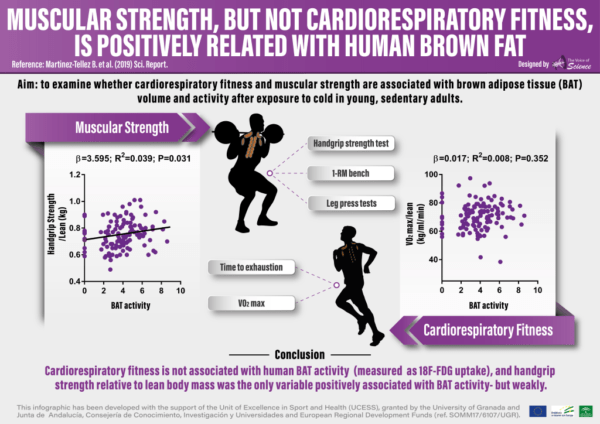 Muscular strength, but not cardiorespiratory fitness, is positively related with human brown fat