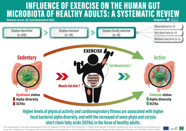 Influencia del ejercicio sobre la microbiota intestinal humana en adultos sanos: revisión sistemática