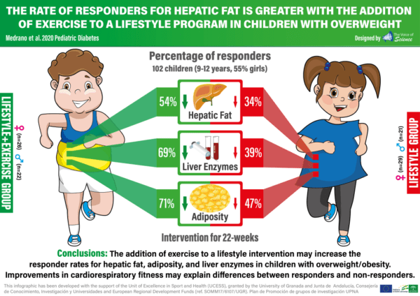 Hacer ejercicio físico aumenta la tasa de niños con sobrepeso “respondedores” para la mejora de la grasa hepática